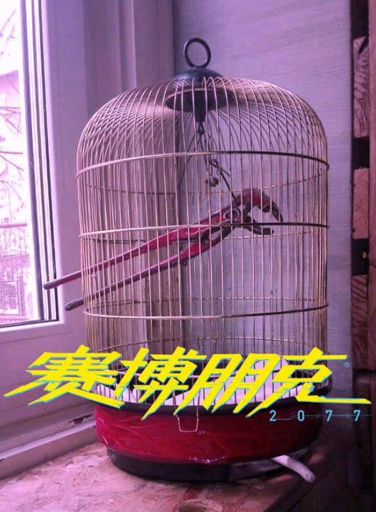 星际争霸1.11b中文版_星际争霸1中文版补丁_星际争霸111汉化补丁
