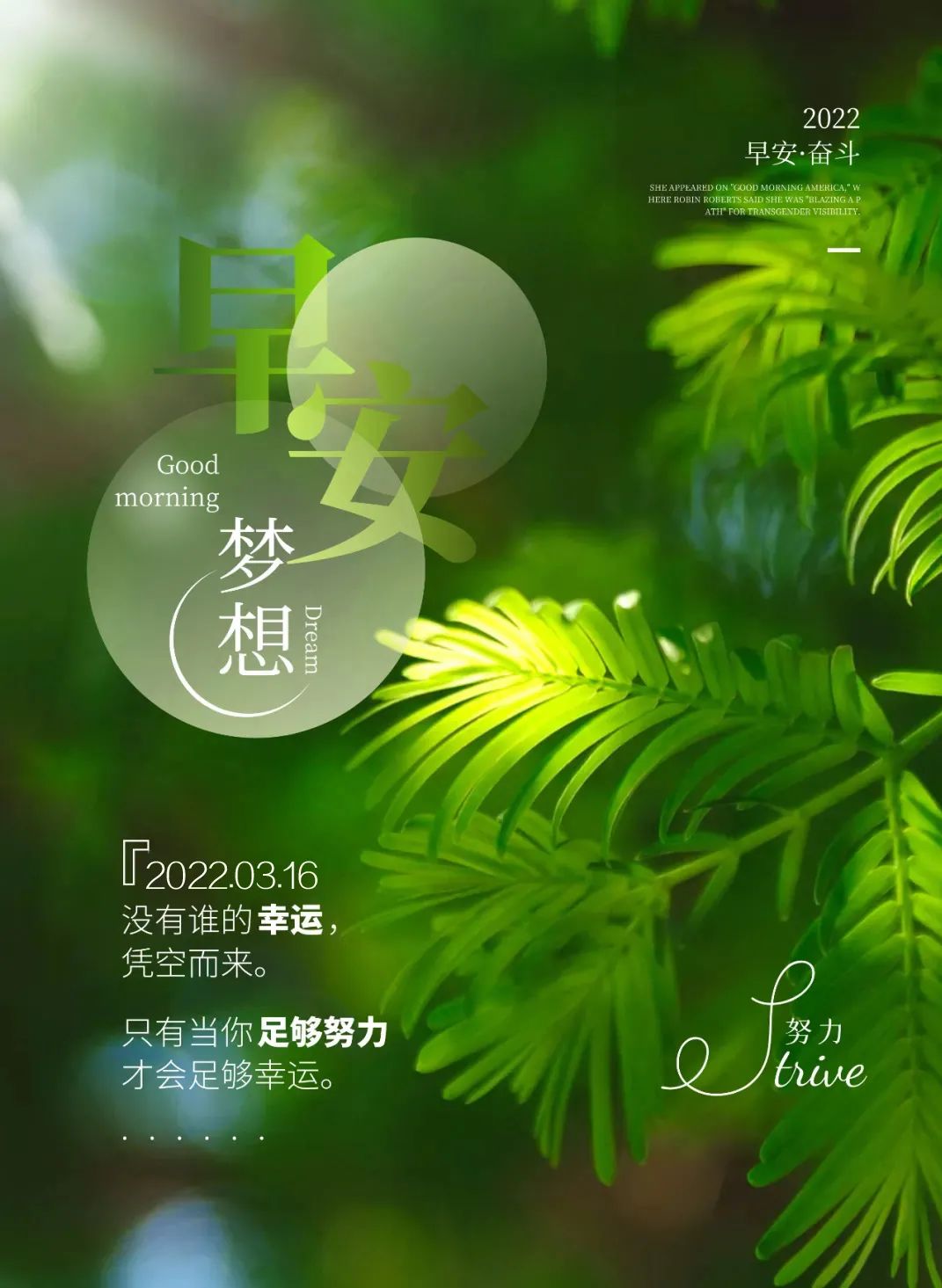 你现在经历的苦难都将-在苦难中成长：从痛苦到坚韧，走向成功的必经之路