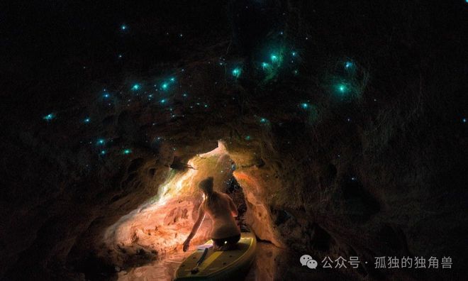 彩虹大冒险_彩虹大冒险手游_彩虹大冒险攻略