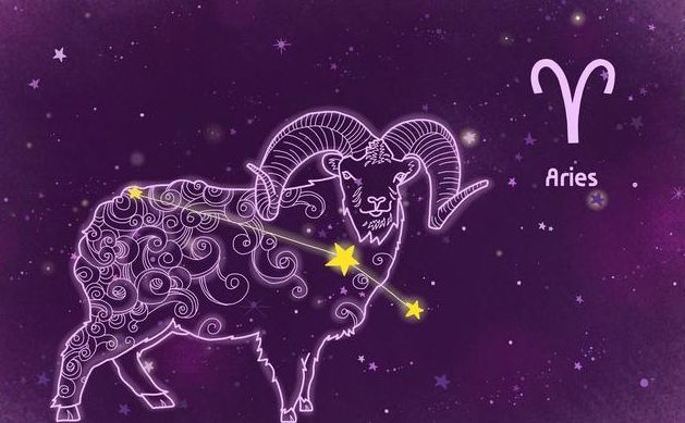 一个兔子两个惊恐-小白兔的惊恐时刻：雷鸣与黑影的双重威胁