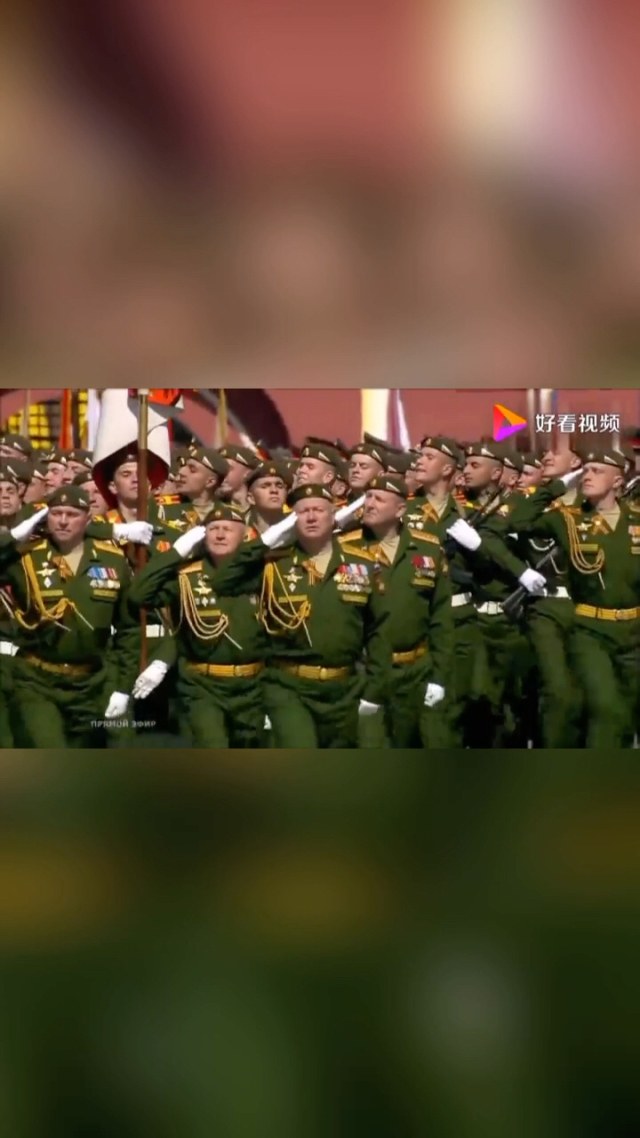 伟大的卫国战争感动_伟大的卫国战争感人片段_伟大卫国感动战争心得体会