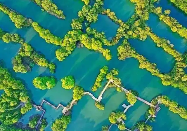 特大城市2024攻略-2024 年，我在特大城市的生活探险：挑战与机遇并存，心灵