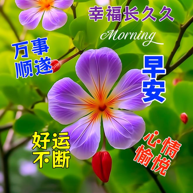 暗黑3 台服_暗黑台服捐血活动_暗黑台服捐血