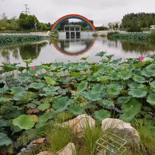 尘埃3根目录在哪_尘埃3根目录在哪_尘埃4根目录是哪里