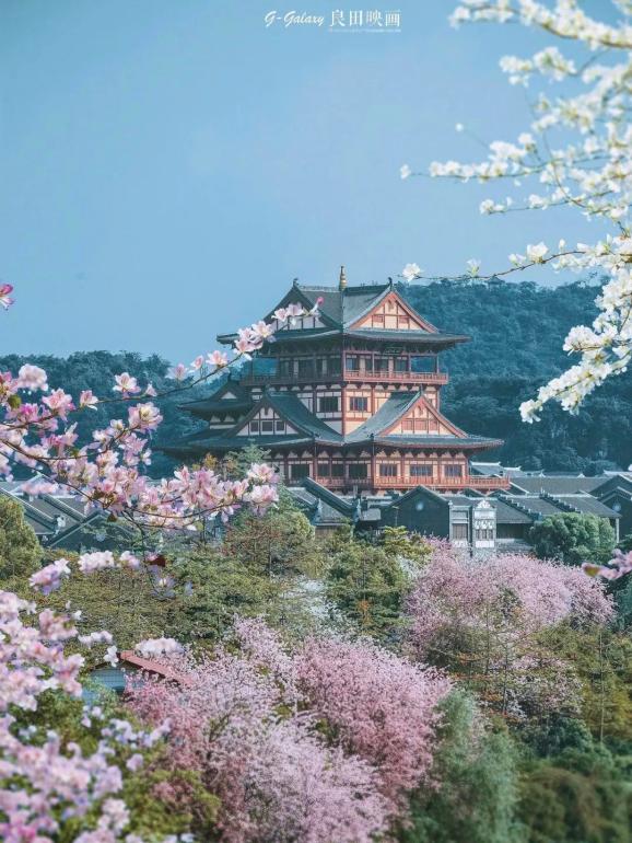 神戒有几个手游_神戒手机可以玩吗_9377神戒手游