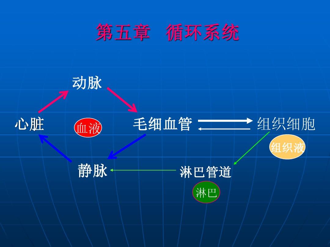 蛋白液质血浆淋巴组织是什么_血浆组织液淋巴蛋白质_血浆中蛋白质多于淋巴