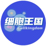 血浆中蛋白质多于淋巴_蛋白液质血浆淋巴组织是什么_血浆组织液淋巴蛋白质