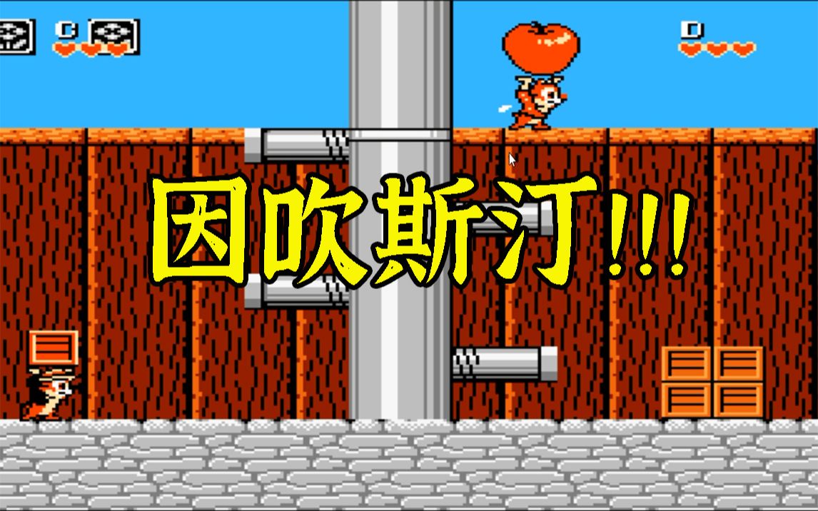 松鼠大战玩法_松鼠大战为什么玩不了_松鼠大战玩具