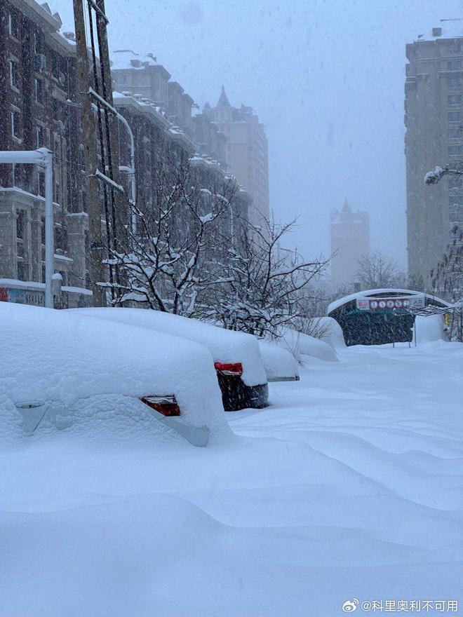 2024年跑车排行榜_2024年那场暴雪阅读_暴雪2022年