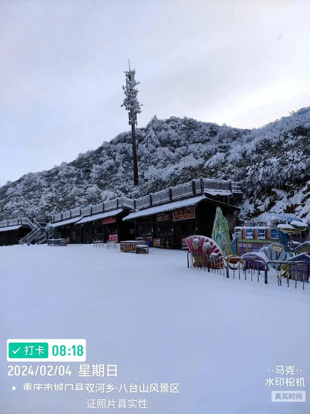 暴雪2022年_2024年那场暴雪阅读_2024年跑车排行榜