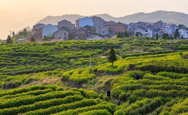 变态蔷薇守则场景在哪_变态蔷薇守则场景图_蔷薇守则变态场景