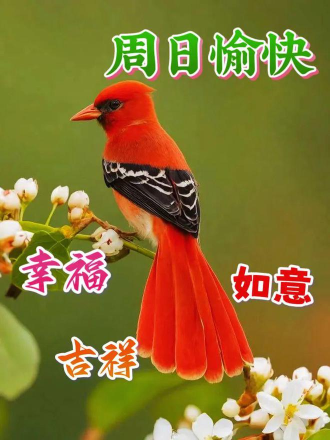 暖暖换装物语角色扮演_暖暖的换装物语3_暖暖换装物语装扮全解锁