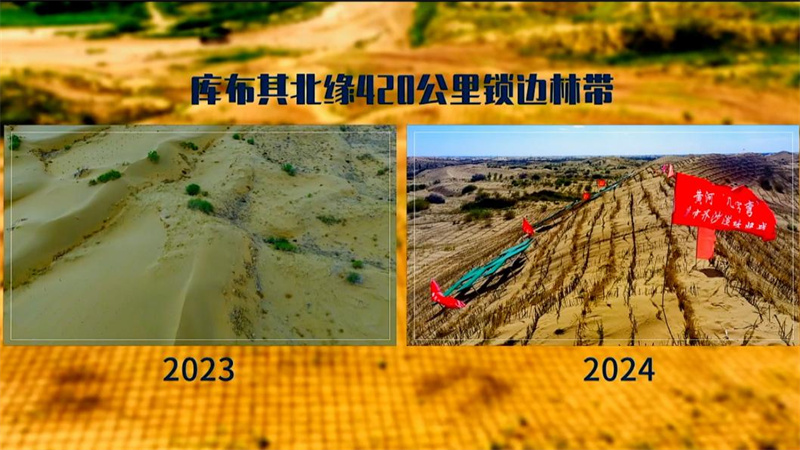 节拍器播放_adobe flash播放器_vob格式用什么播放器播放
