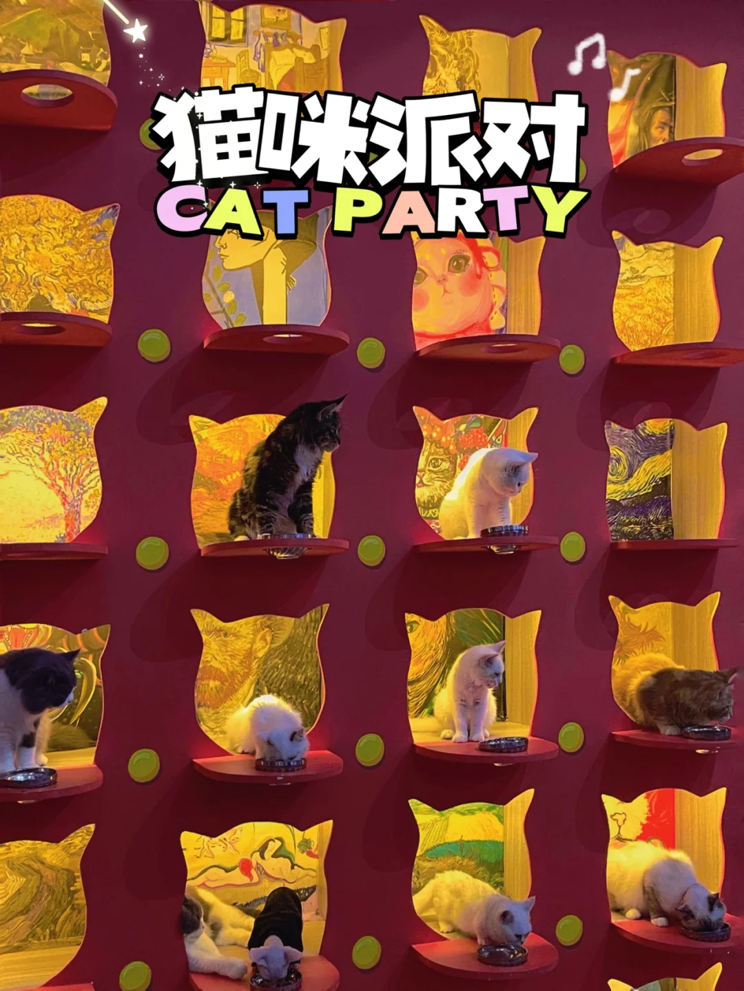 暖洋洋的猫猫村g亲密度-暖洋洋的猫猫村：猫咪的天堂，爱猫人士的心灵港湾
