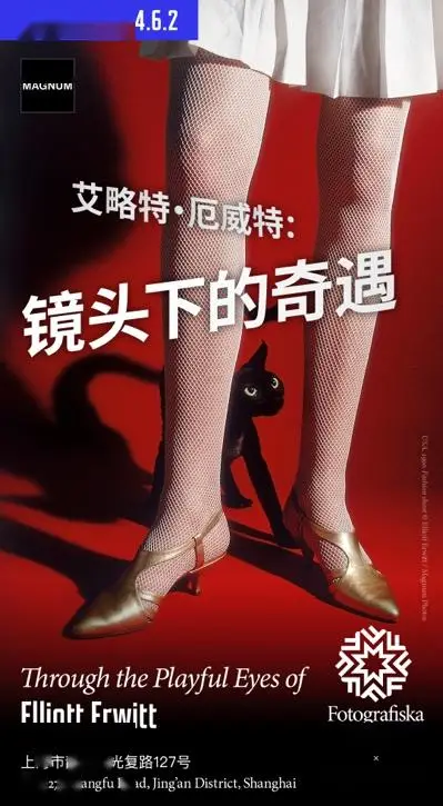 穿越时空，洞察人心：天堂二透视镜的神奇之旅