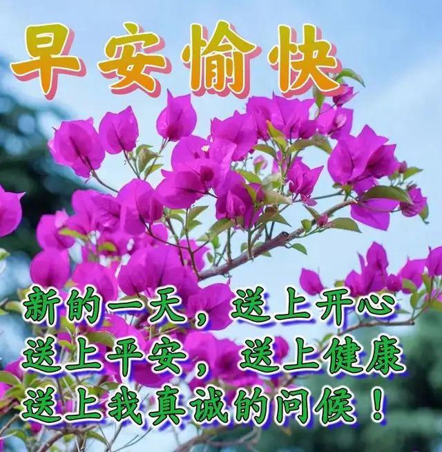 网上烧香拜佛_网上拜菩萨_网上上香有用吗