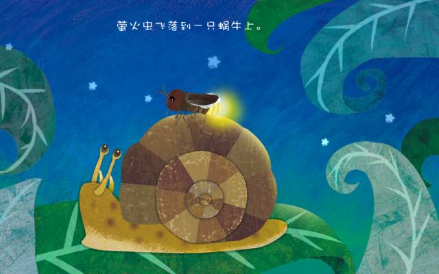 蜗牛找房子3_蜗牛找房子7_蜗牛的房子不见了