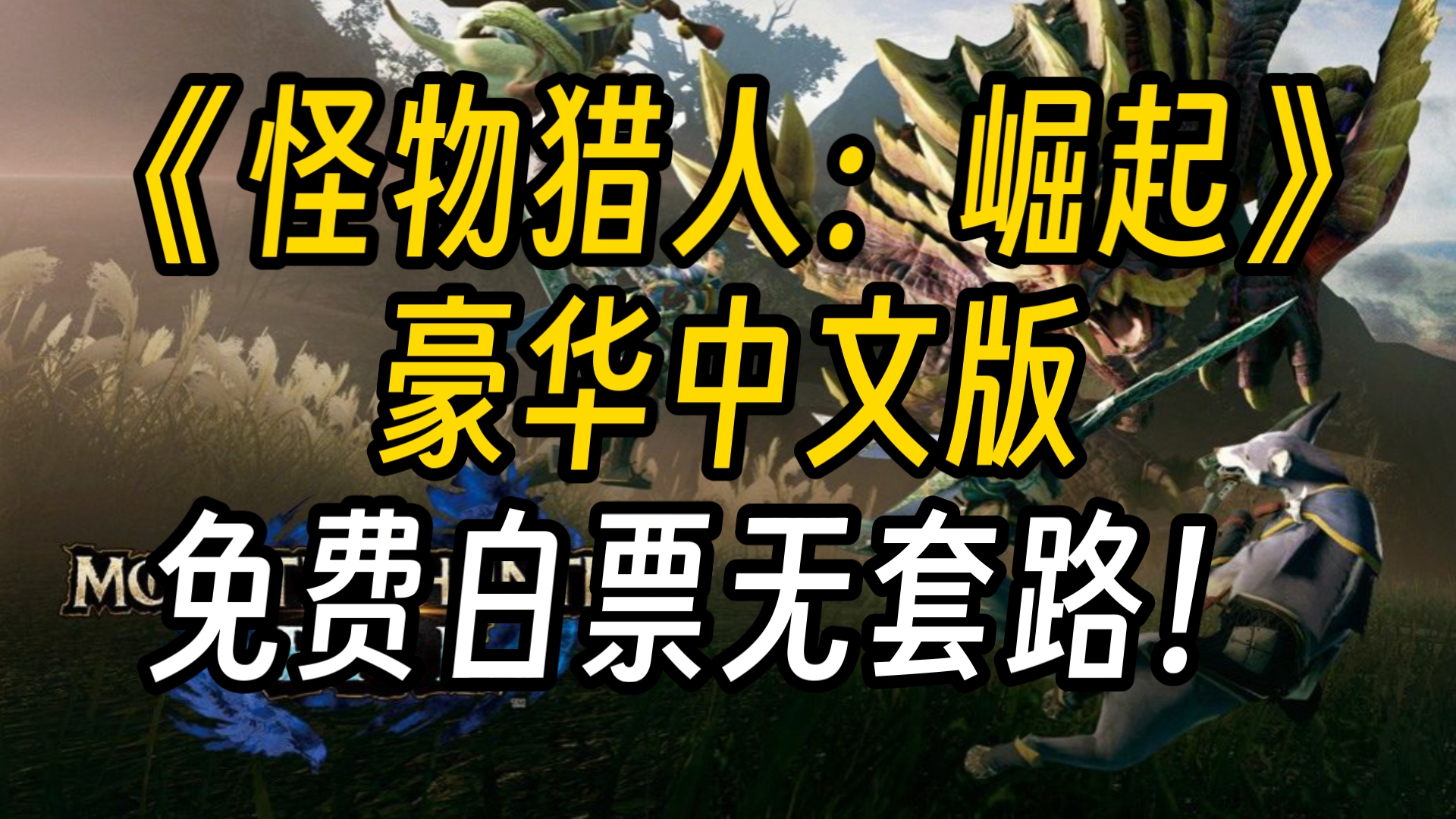 怪物猎人p3存档女下载-怪物猎人 P3女猎人存档：心动艺术品，下载需谨慎