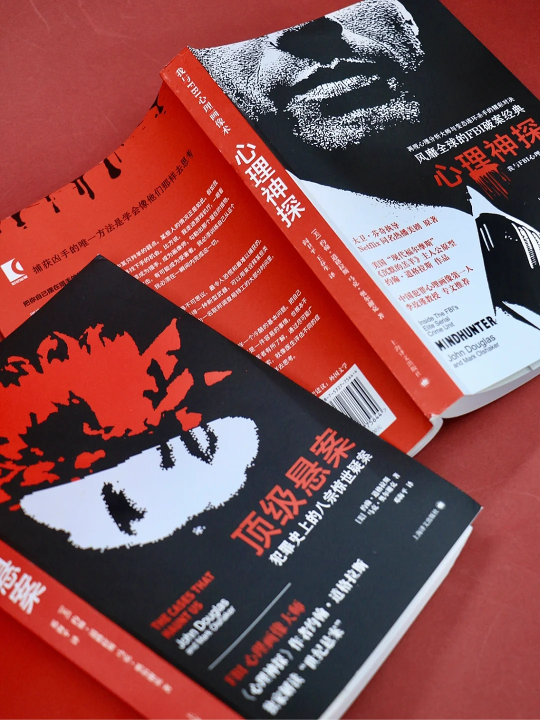 罪案心理小组影视大全_罪案心理小组x 电视剧一共多少集_电视剧罪案心理小组完整版播放