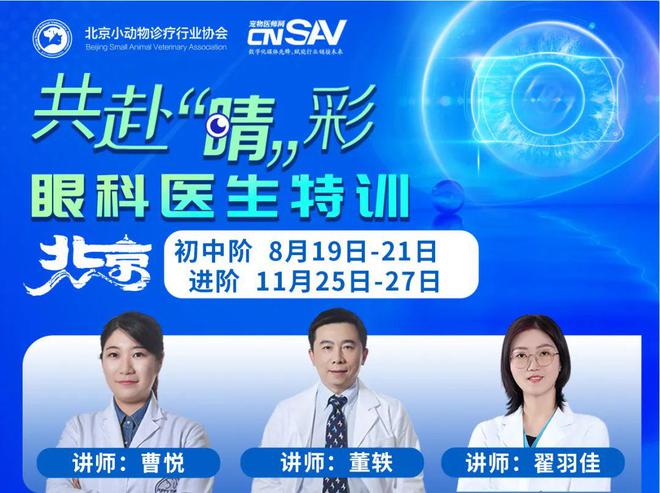 考眼力看图找动物_看图考眼力答案_看图找动物难度最高