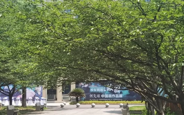 dnfgsd-DNFGSD：不仅仅是游戏，更是我的情感寄托