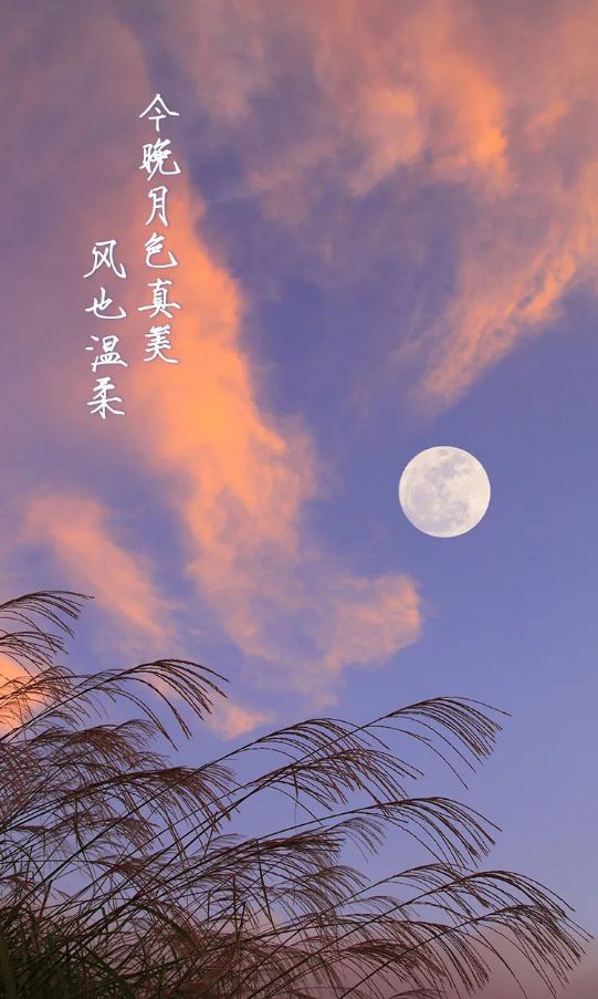小娃娃_娃娃小名_娃娃小腿疼怎么回事
