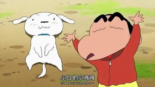 怎么抓流浪狗下的崽子_抓狗流浪崽子下一句_抓流浪狗有什么特效办法