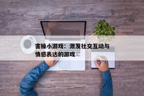 害臊小游戏