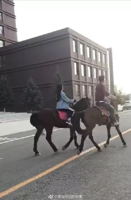 校园骑马游戏,虚拟世界中的马术体验