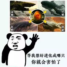 彩鲲游戏,梦幻海洋的奇幻冒险之旅