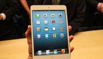 游戏ipad海关,轻松应对海关缴税挑战