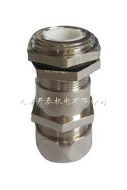 紧接头游戏,紧张刺激的团队协作挑战
