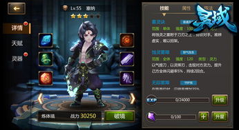 武者游戏小说,穿越时空的武者传奇