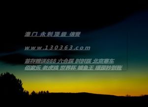 信誉真人游戏,揭秘真人游戏领域的诚信传奇