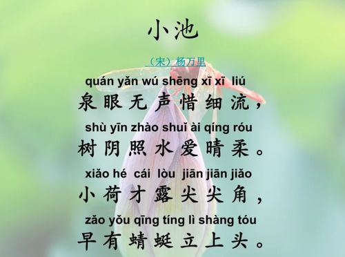 小池古诗游戏,小池古诗中的自然之美与生命之趣