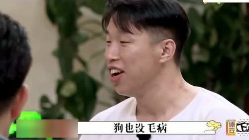 游戏名字德云社,相声世界中的奇幻冒险之旅