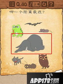 最囧游戏怎么过关,轻松战胜囧境挑战
